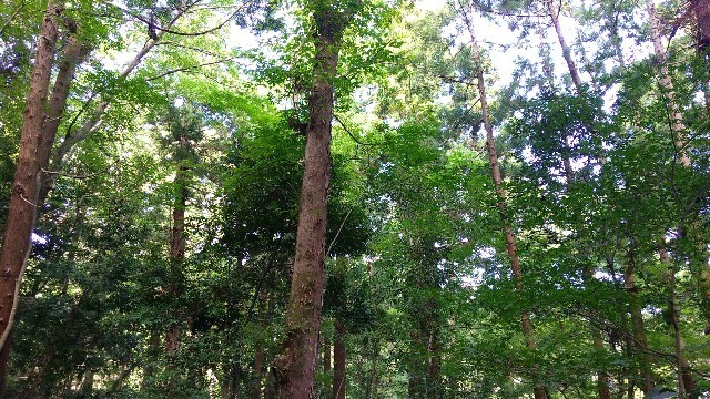 f:id:bluemoonbell:20200904161048j:image