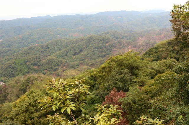 f:id:bluemoonbell:20200928124322j:image