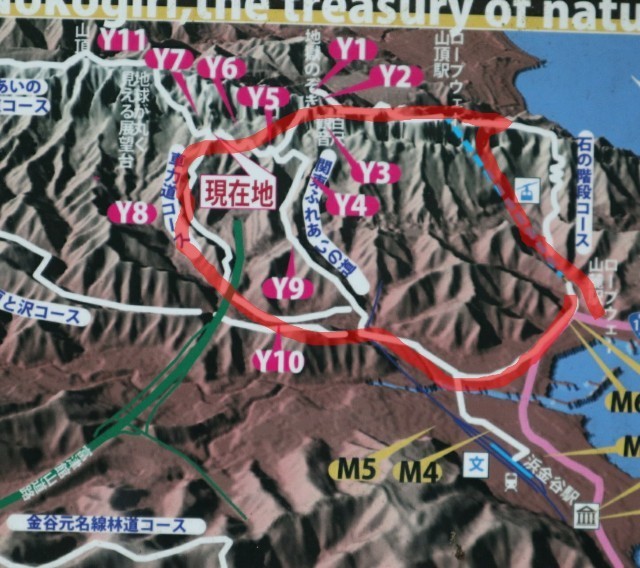 f:id:bluemoonbell:20200928145728j:image