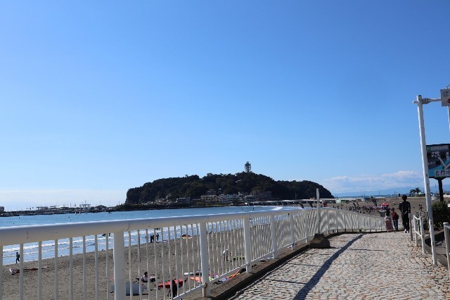 f:id:bluemoonbell:20201110161648j:image