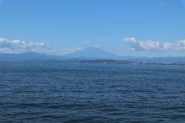 f:id:bluemoonbell:20201110161736j:image