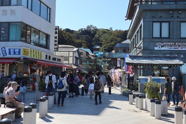 f:id:bluemoonbell:20201112132132j:image