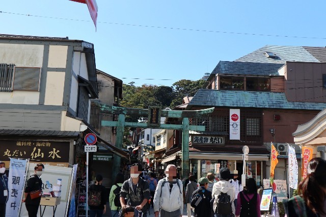 f:id:bluemoonbell:20201112132144j:image