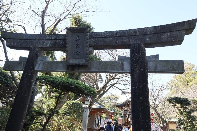 f:id:bluemoonbell:20201112160512j:image f:id:bluemoonbell:20201112160512j:image