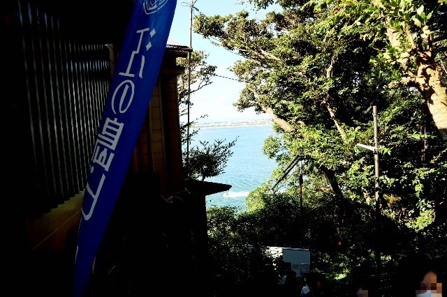 f:id:bluemoonbell:20201117090110j:image