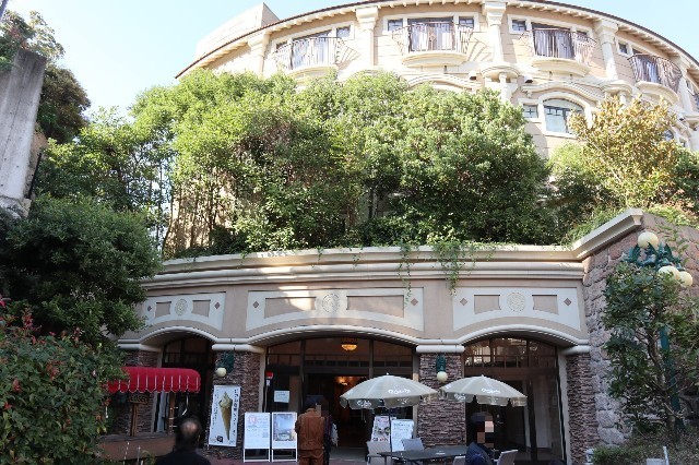 f:id:bluemoonbell:20201117090417j:image