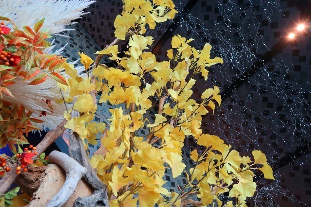 f:id:bluemoonbell:20201118103529j:image f:id:bluemoonbell:20201118103529j:image