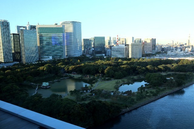 f:id:bluemoonbell:20201118103555j:image f:id:bluemoonbell:20201118103555j:image