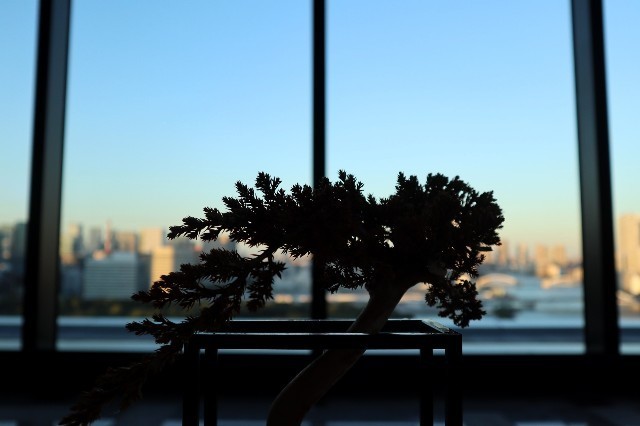 f:id:bluemoonbell:20201118104141j:image f:id:bluemoonbell:20201118104141j:image