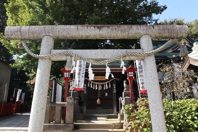 f:id:bluemoonbell:20201129192314j:image