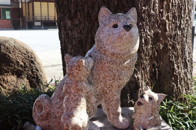 f:id:bluemoonbell:20201129193232j:image