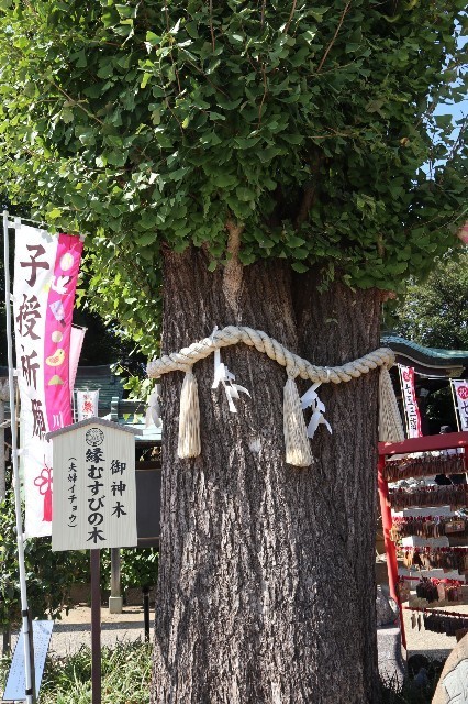f:id:bluemoonbell:20201129193734j:image