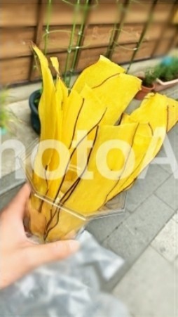 f:id:bluemoonbell:20201206112655j:image f:id:bluemoonbell:20201206112655j:image