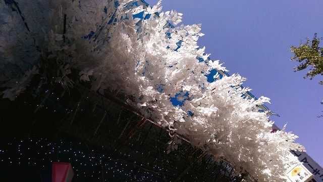 f:id:bluemoonbell:20201209085326j:image