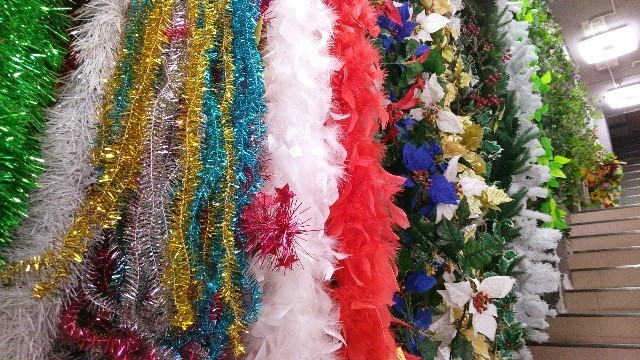 f:id:bluemoonbell:20201209085355j:image