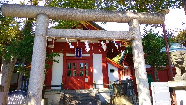 f:id:bluemoonbell:20201215144458j:image f:id:bluemoonbell:20201215144458j:image