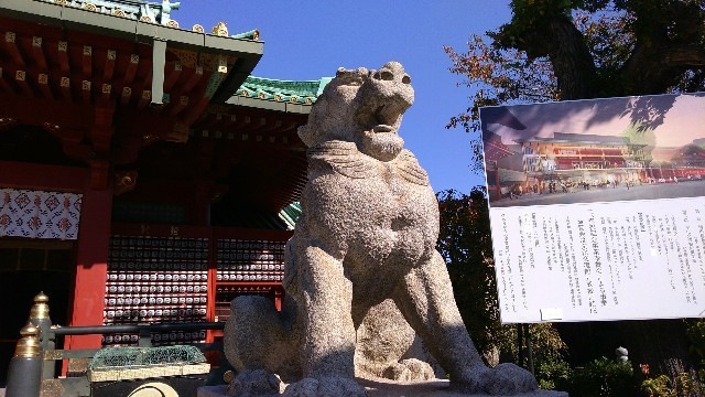 f:id:bluemoonbell:20201215144803j:image f:id:bluemoonbell:20201215144803j:image