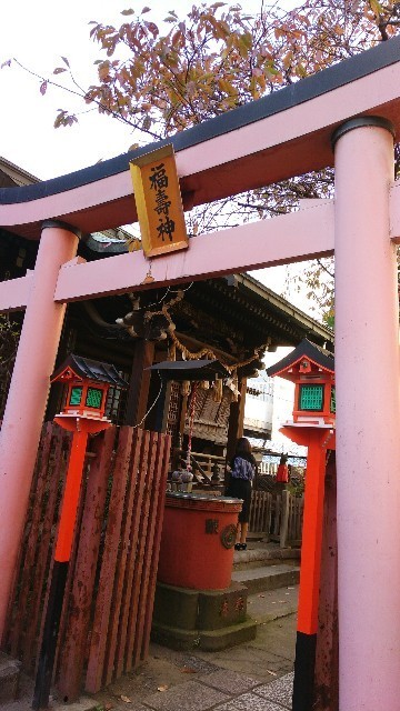 f:id:bluemoonbell:20201222144016j:image
