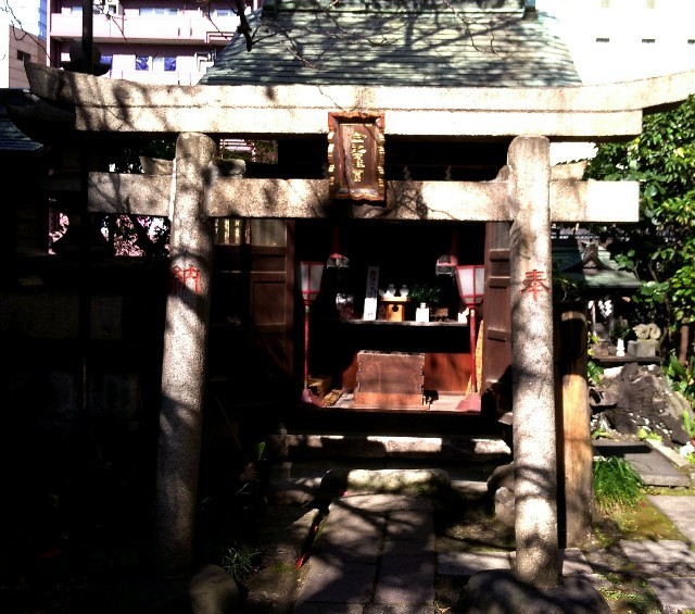 f:id:bluemoonbell:20201222144344j:image