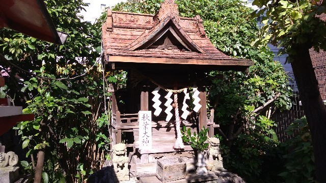 f:id:bluemoonbell:20201222144517j:image