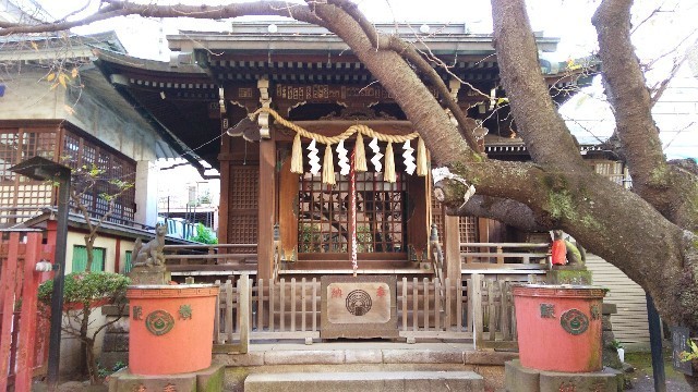 f:id:bluemoonbell:20201222144655j:image