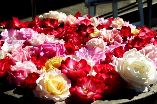f:id:bluemoonbell:20201227191649j:image