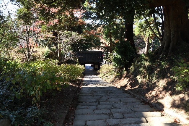 f:id:bluemoonbell:20201227191840j:image