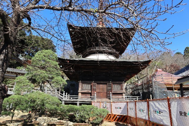 f:id:bluemoonbell:20201227192402j:image