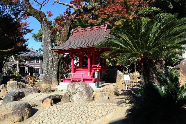 f:id:bluemoonbell:20201228210722j:image