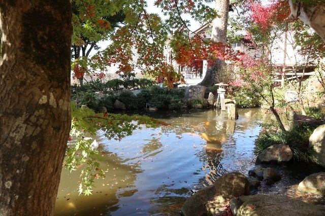 f:id:bluemoonbell:20201228210902j:image