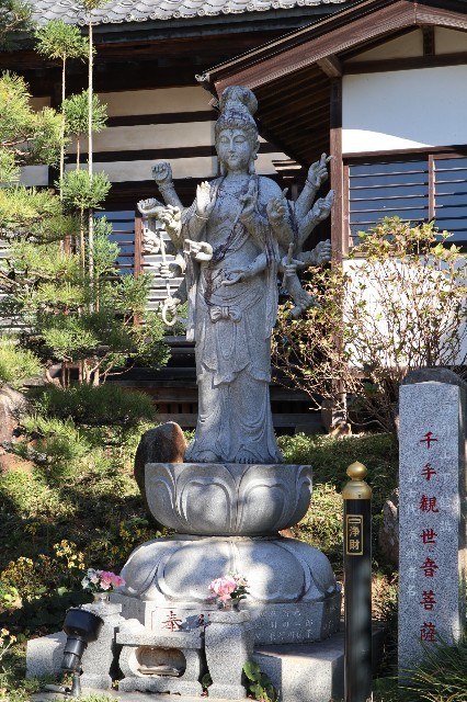 f:id:bluemoonbell:20201228211307j:image