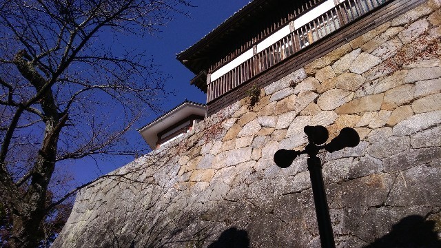 f:id:bluemoonbell:20201228211621j:image