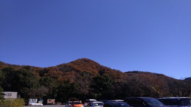 f:id:bluemoonbell:20201228211656j:image