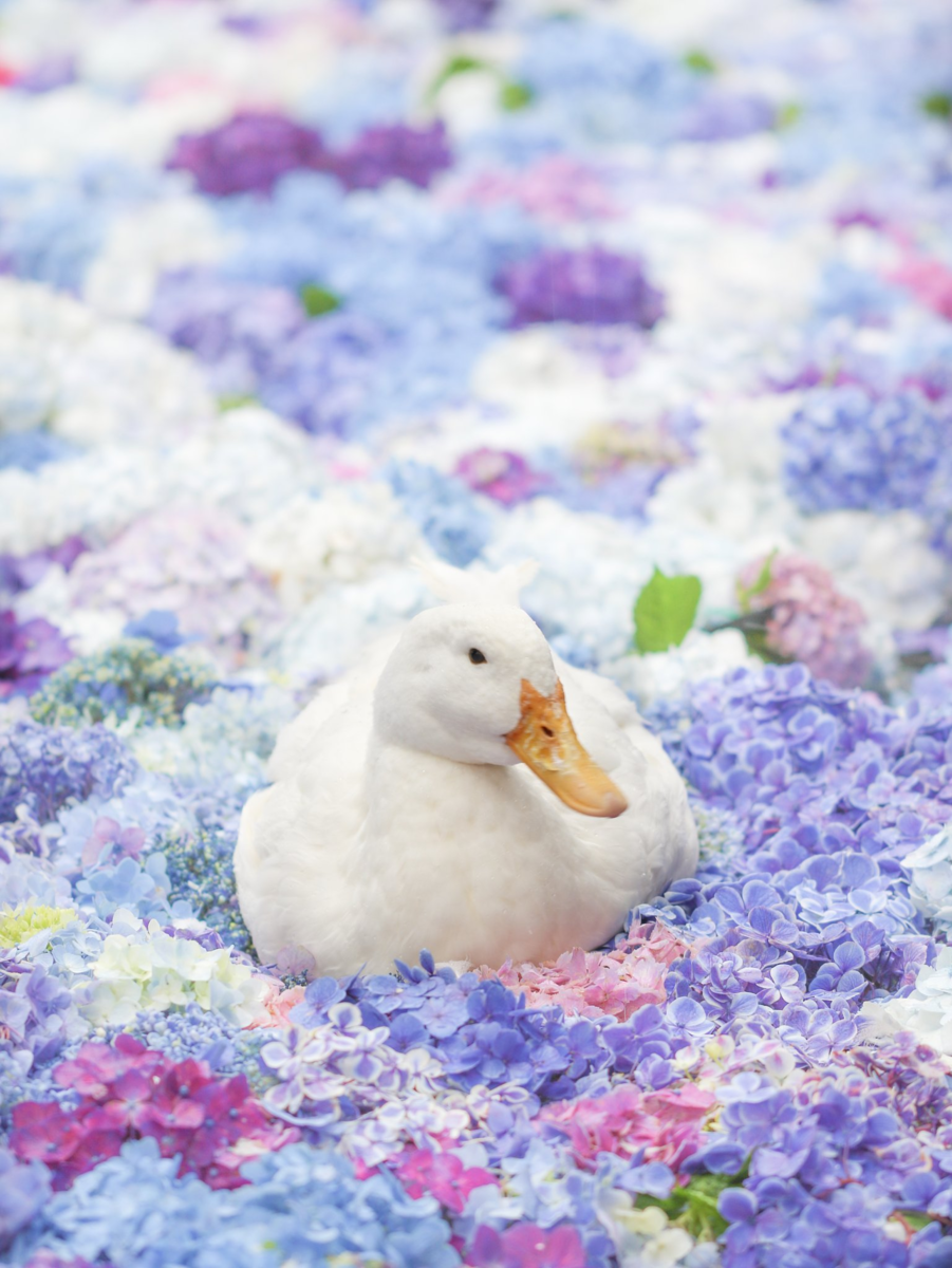 f:id:bluemoonbell:20201230161122p:plain