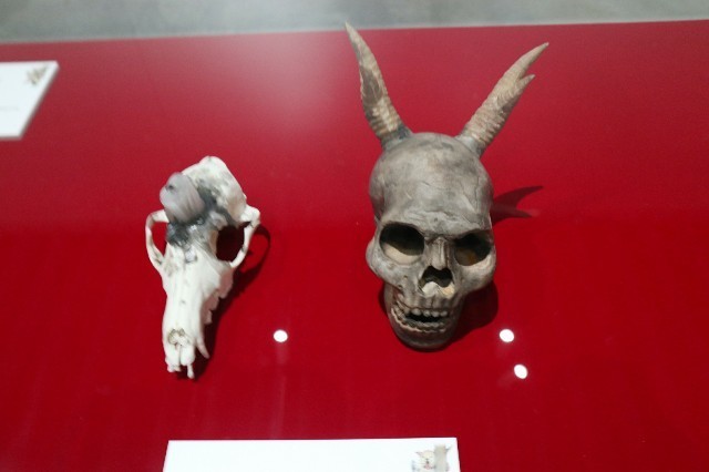 f:id:bluemoonbell:20210111174755j:image f:id:bluemoonbell:20210111174755j:image