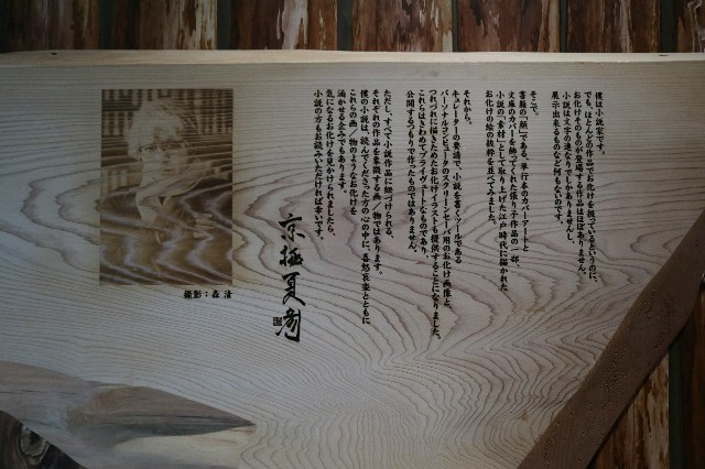 f:id:bluemoonbell:20210111175019j:image f:id:bluemoonbell:20210111175019j:image