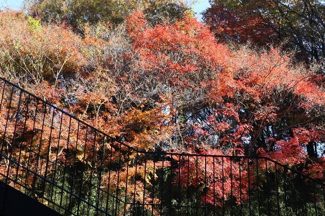 f:id:bluemoonbell:20210131163005j:image f:id:bluemoonbell:20210131163005j:image