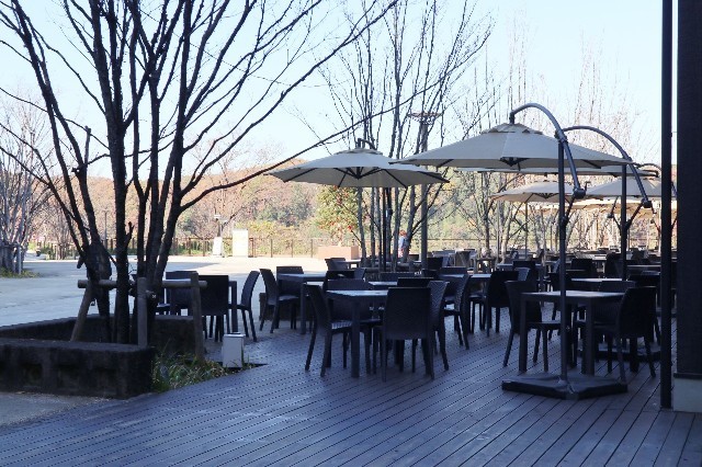 f:id:bluemoonbell:20210131163034j:image f:id:bluemoonbell:20210131163034j:image