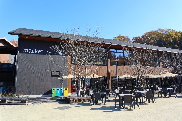 f:id:bluemoonbell:20210131163044j:image f:id:bluemoonbell:20210131163044j:image