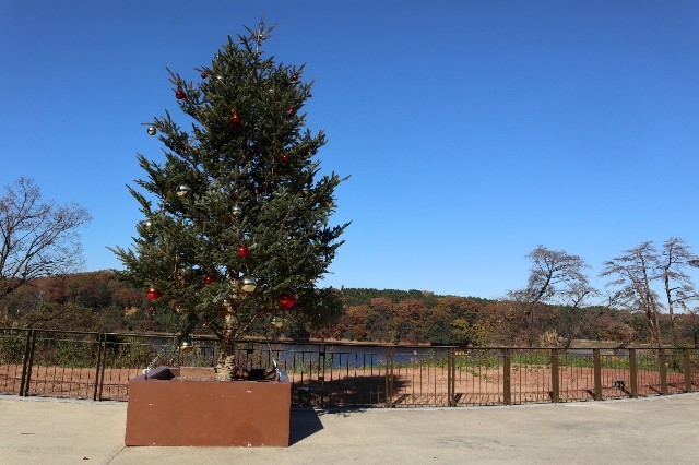 f:id:bluemoonbell:20210131163140j:image f:id:bluemoonbell:20210131163140j:image