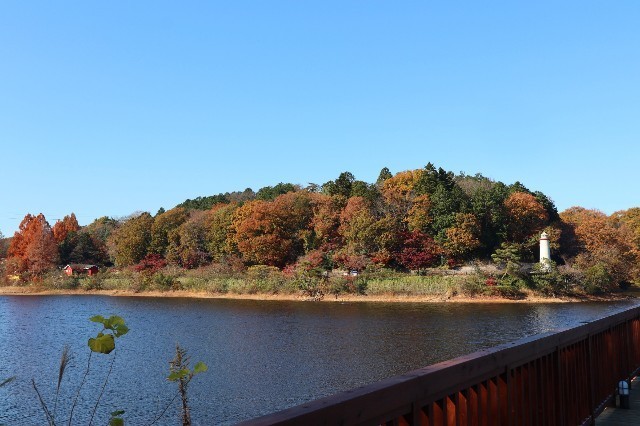 f:id:bluemoonbell:20210131163246j:image f:id:bluemoonbell:20210131163246j:image