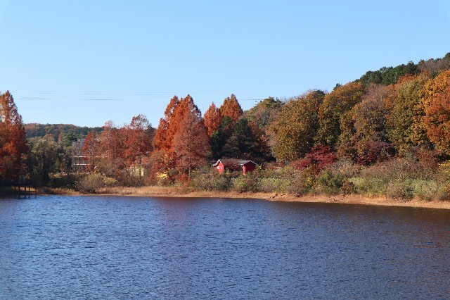 f:id:bluemoonbell:20210131163253j:image f:id:bluemoonbell:20210131163253j:image