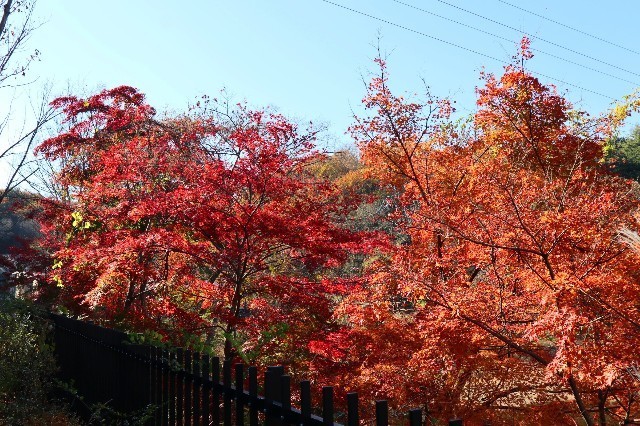 f:id:bluemoonbell:20210131163309j:image f:id:bluemoonbell:20210131163309j:image