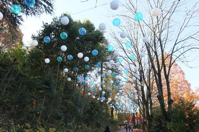 f:id:bluemoonbell:20210131213901j:image