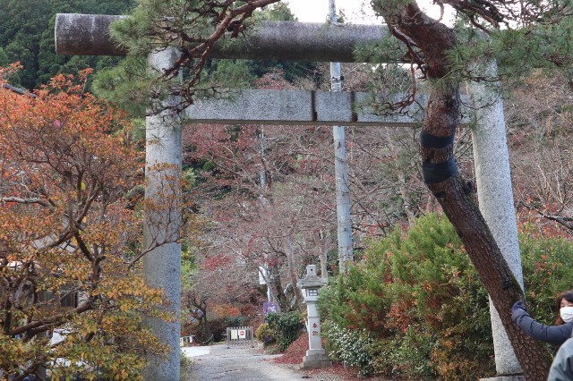 f:id:bluemoonbell:20210212203831j:image
