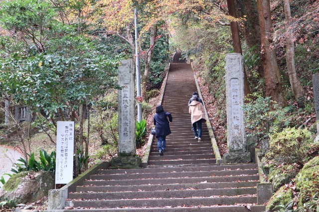 f:id:bluemoonbell:20210212203851j:image