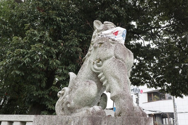 f:id:bluemoonbell:20210222114003j:image