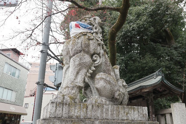 f:id:bluemoonbell:20210222114010j:image