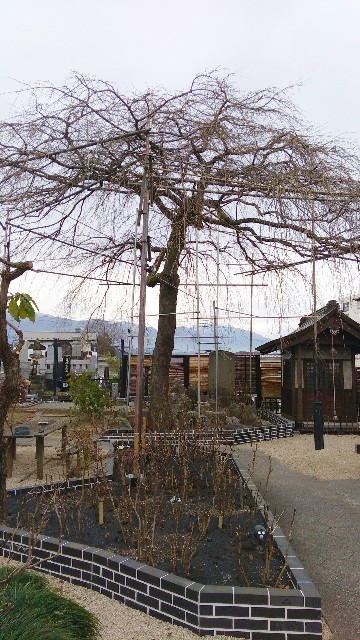 f:id:bluemoonbell:20210301121606j:image