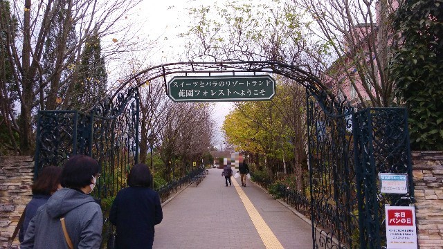 f:id:bluemoonbell:20210301121657j:image